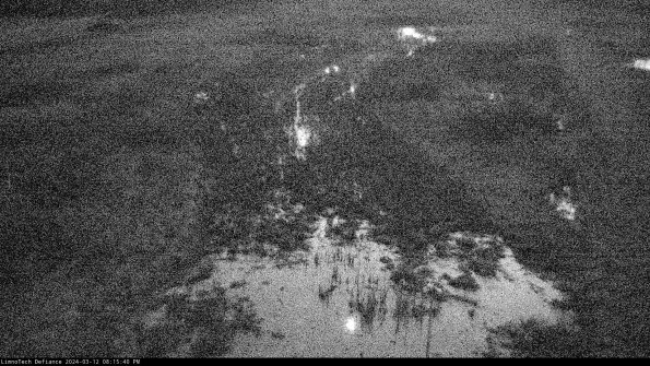 Cell 1_24-03-12_20-15-41-15