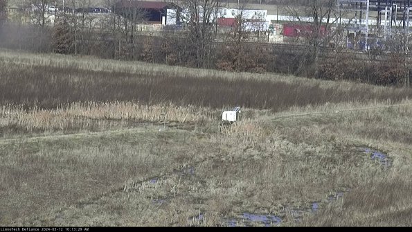 Cell 2 to 3_24-03-12_10-13-30-17