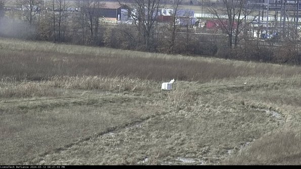 Cell 2 to 3_24-03-12_16-21-56-22