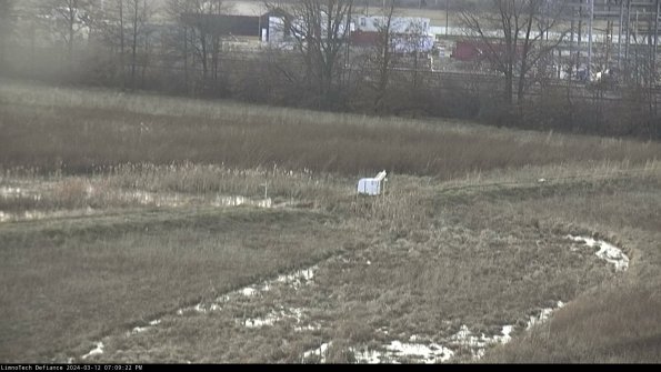 Cell 2 to 3_24-03-12_19-09-23-25