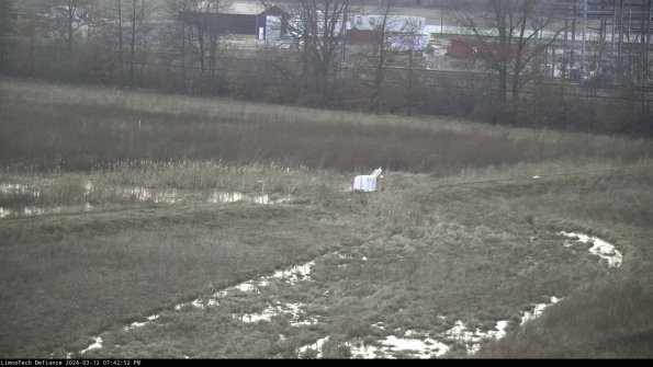 Cell 2 to 3_24-03-12_19-42-53-24