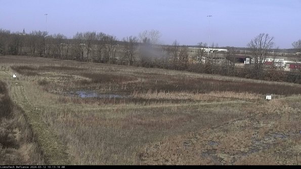 Cell 2_24-03-12_10-13-17-19