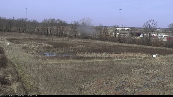 Cell 2_24-03-12_10-46-45-17