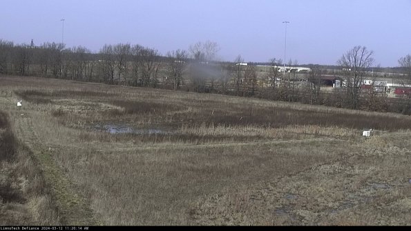 Cell 2_24-03-12_11-20-15-16