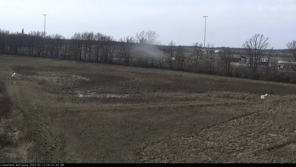 Cell 2_24-03-12_16-21-43-14