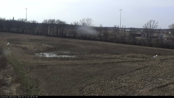 Cell 2_24-03-12_17-28-43-18