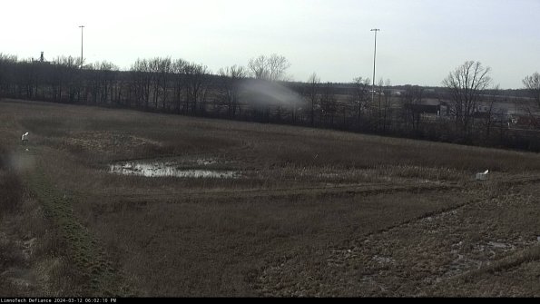 Cell 2_24-03-12_18-02-11-20