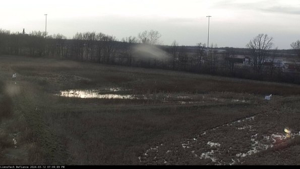 Cell 2_24-03-12_19-09-10-17