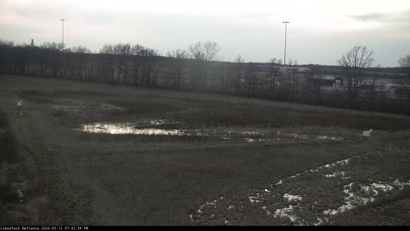 Cell 2_24-03-12_19-42-40-16