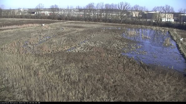 Cell 3_24-03-12_09-06-45-15