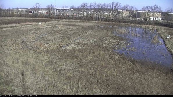 Cell 3_24-03-12_10-13-44-38