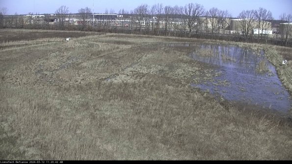 Cell 3_24-03-12_11-20-43-12