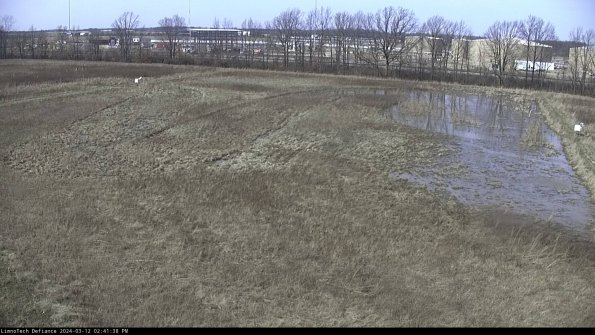 Cell 3_24-03-12_14-41-39-14