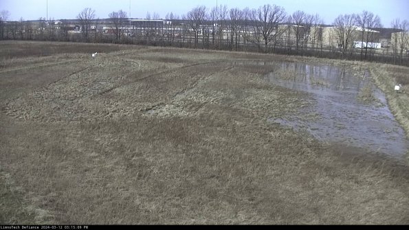 Cell 3_24-03-12_15-15-10-16