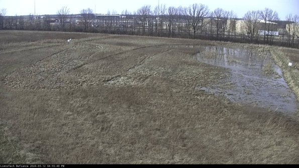 Cell 3_24-03-12_16-55-41-13