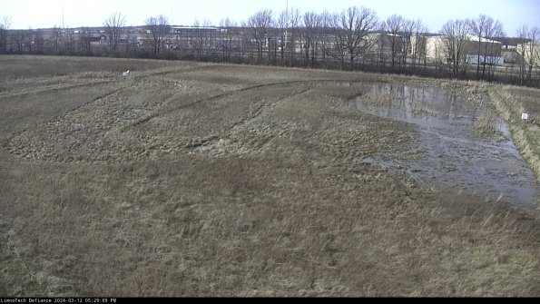 Cell 3_24-03-12_17-29-10-37