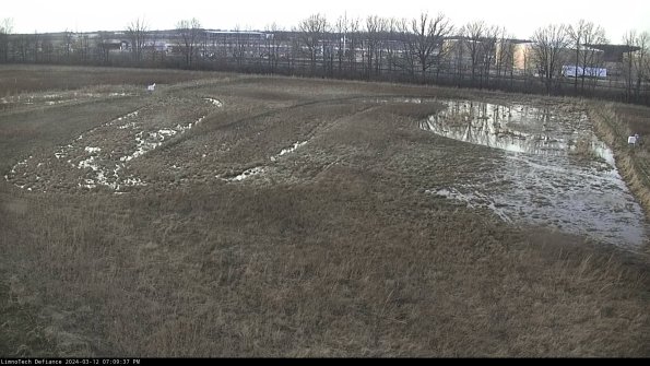 Cell 3_24-03-12_19-09-38-13