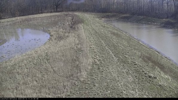 Cell 4 to Basin_24-03-12_11-21-41-14