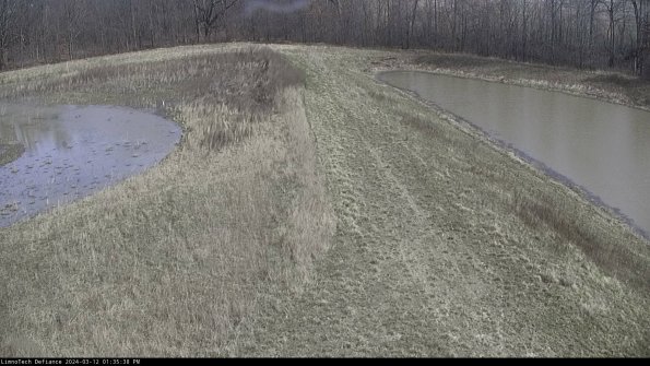 Cell 4 to Basin_24-03-12_13-35-39-16