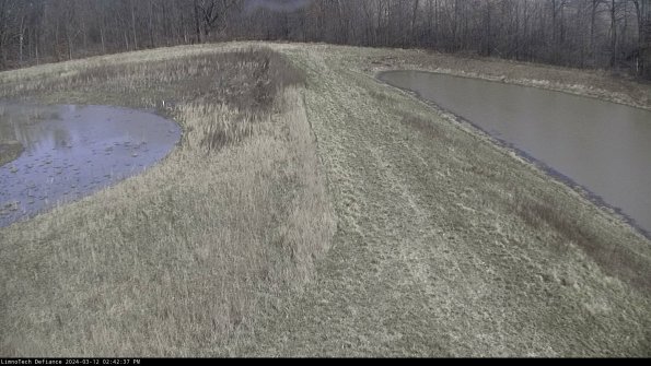 Cell 4 to Basin_24-03-12_14-42-38-13