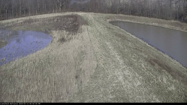 Cell 4 to Basin_24-03-12_16-56-39-15