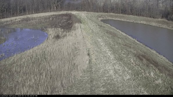 Cell 4 to Basin_24-03-12_17-30-08-17