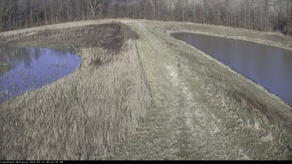 Cell 4 to Basin_24-03-12_18-03-37-12