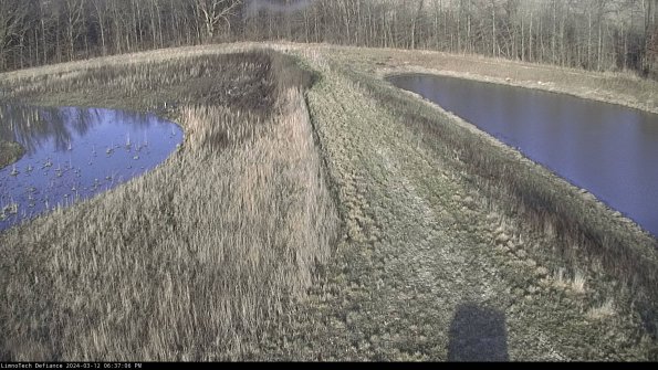 Cell 4 to Basin_24-03-12_18-37-07-14