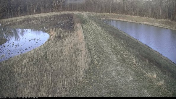 Cell 4 to Basin_24-03-12_19-10-36-16