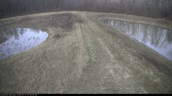 Cell 4 to Basin_24-03-12_19-44-05-15