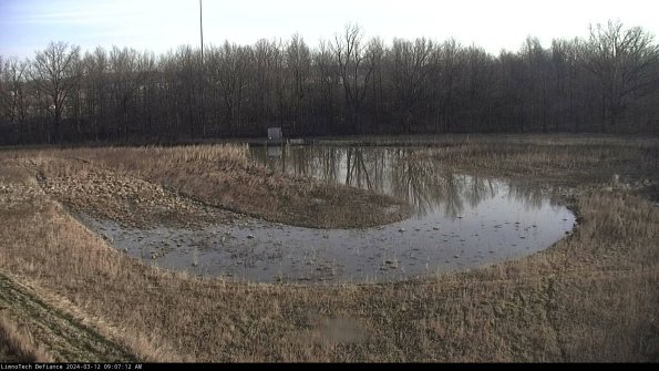 Cell 4_24-03-12_09-07-13-14