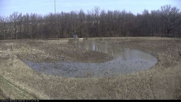 Cell 4_24-03-12_11-21-11-11