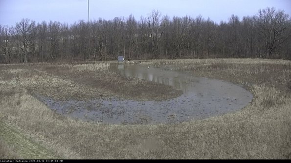 Cell 4_24-03-12_13-35-09-13