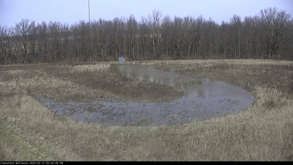 Cell 4_24-03-12_14-42-07-13