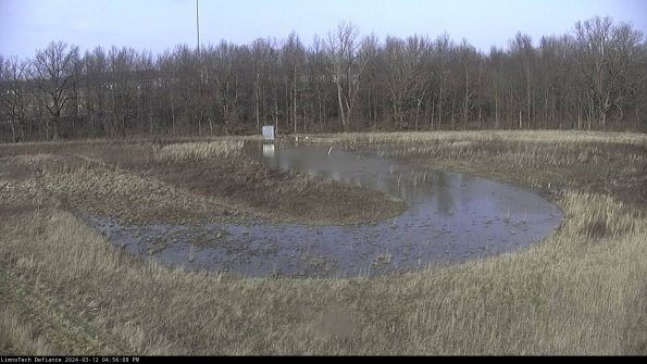 Cell 4_24-03-12_16-56-09-15