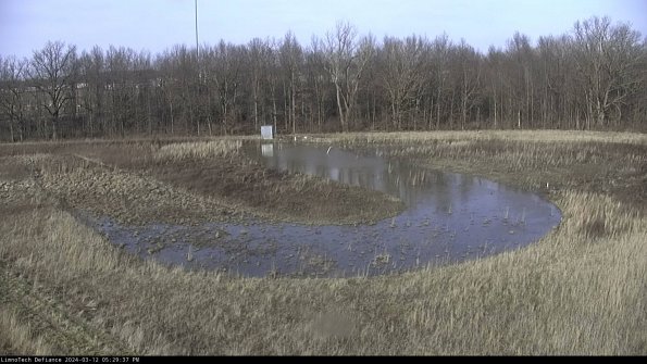 Cell 4_24-03-12_17-29-38-14