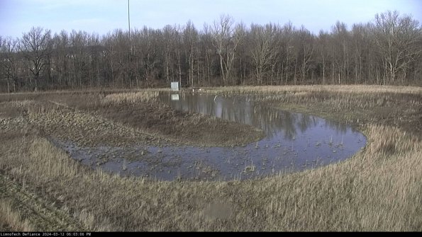 Cell 4_24-03-12_18-03-07-12