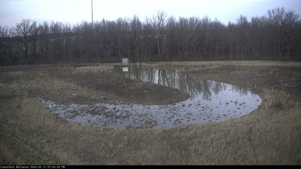 Cell 4_24-03-12_19-43-35-12