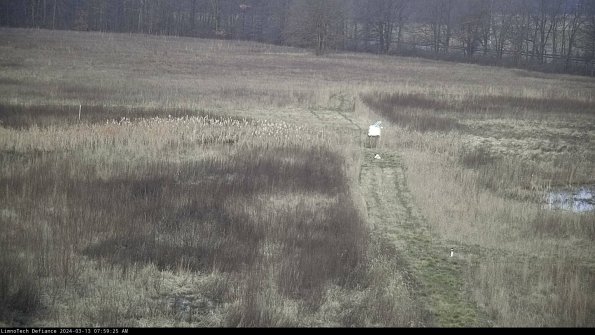 Cell 1 to 2_24-03-13_07-59-26-12