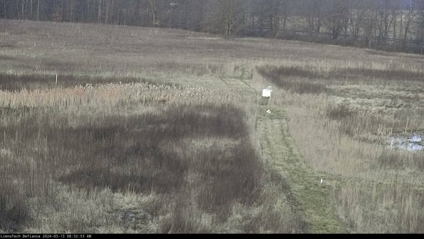 Cell 1 to 2_24-03-13_08-32-54-14