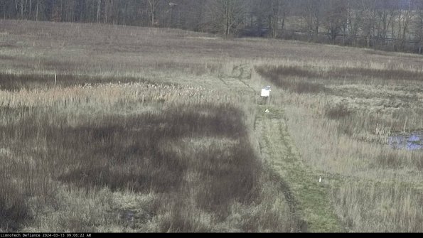 Cell 1 to 2_24-03-13_09-06-23-16