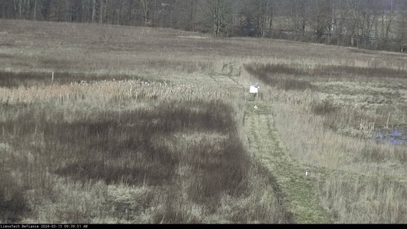 Cell 1 to 2_24-03-13_09-39-52-14