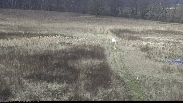 Cell 1 to 2_24-03-13_10-13-22-13