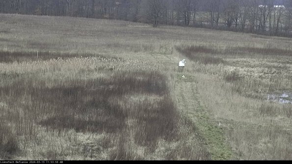 Cell 1 to 2_24-03-13_11-53-51-12