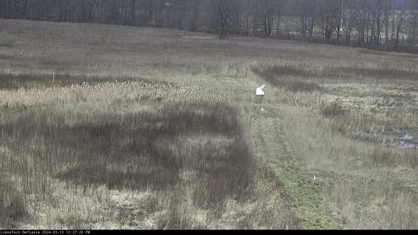 Cell 1 to 2_24-03-13_12-27-21-14