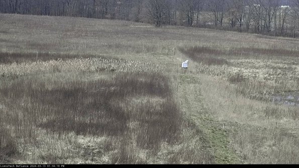 Cell 1 to 2_24-03-13_13-34-20-11