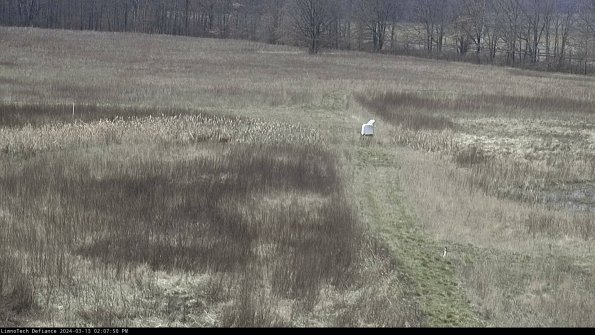 Cell 1 to 2_24-03-13_14-07-51-14