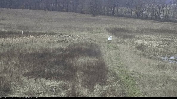 Cell 1 to 2_24-03-13_14-41-21-12