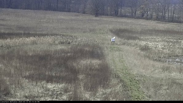 Cell 1 to 2_24-03-13_15-14-51-11