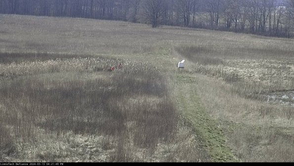 Cell 1 to 2_24-03-13_16-21-50-12